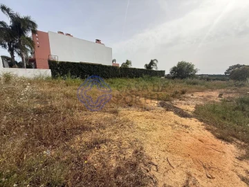 Terreno para Venda em Montenegro