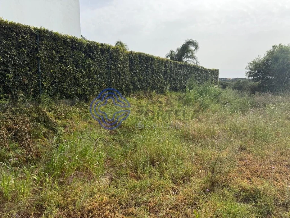 Terreno para Venda em Montenegro Foto 12