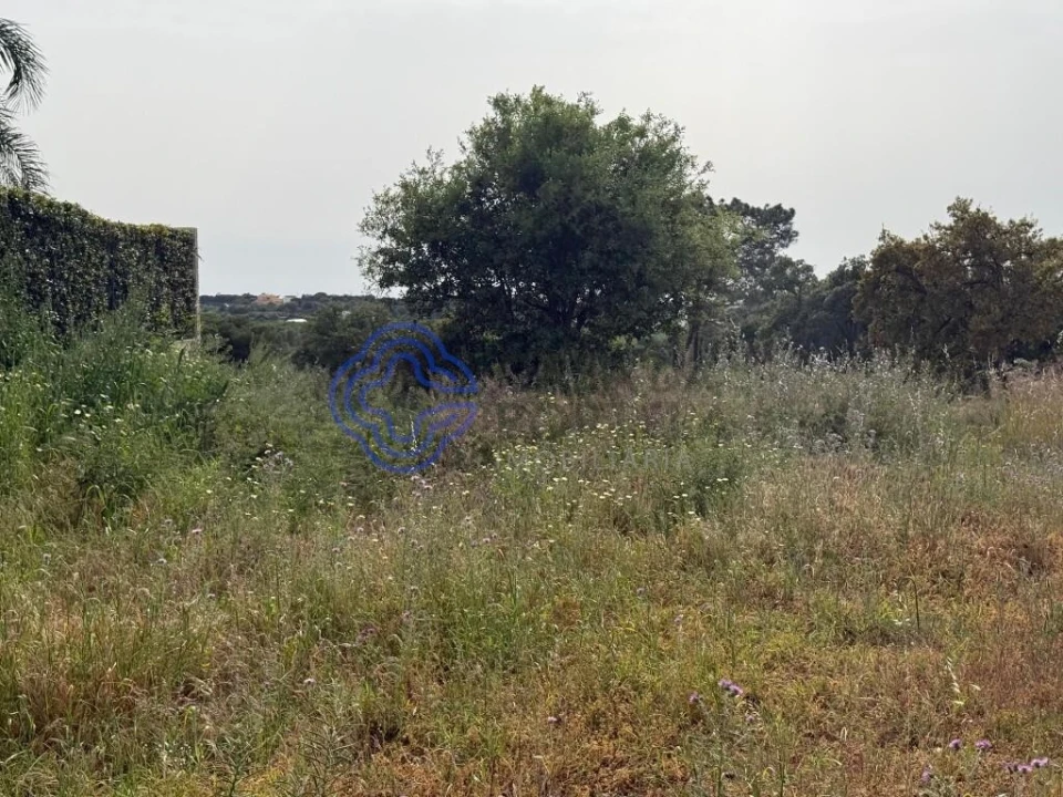 Terreno para Venda em Montenegro Foto 11