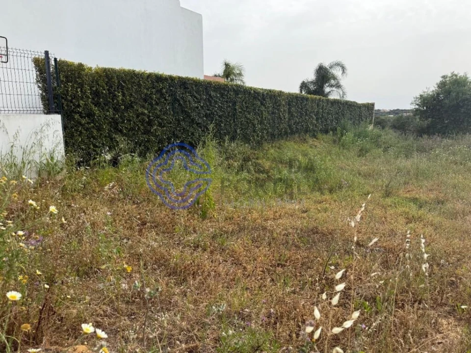 Terreno para Venda em Montenegro Foto 18