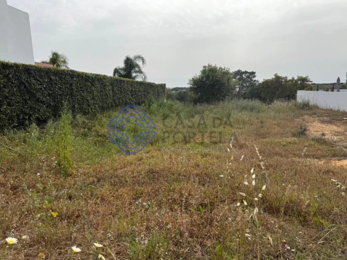 Terreno para Venda em Montenegro Foto 19