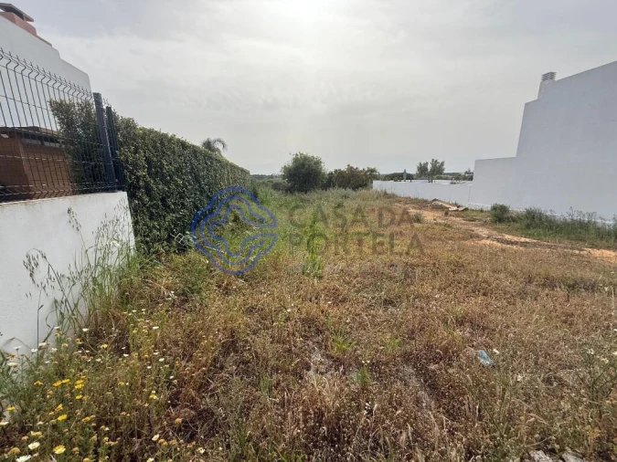 Terreno para Venda em Montenegro Foto 15