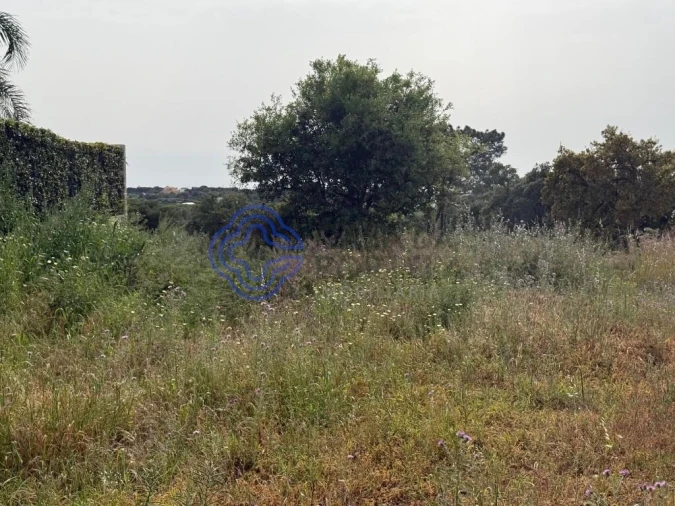 Terreno para Venda em Montenegro Foto 11