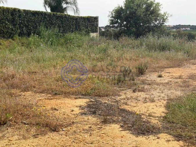 Terreno para Venda em Montenegro Foto 10