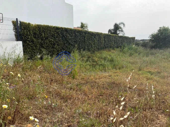 Terreno para Venda em Montenegro Foto 18