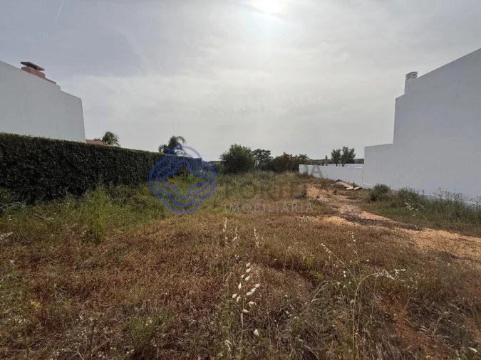 Terreno para Venda em Montenegro Foto 17