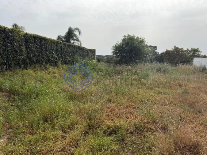 Terreno para Venda em Montenegro Foto 13