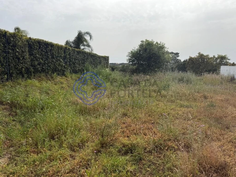 Terreno para Venda em Montenegro Foto 13