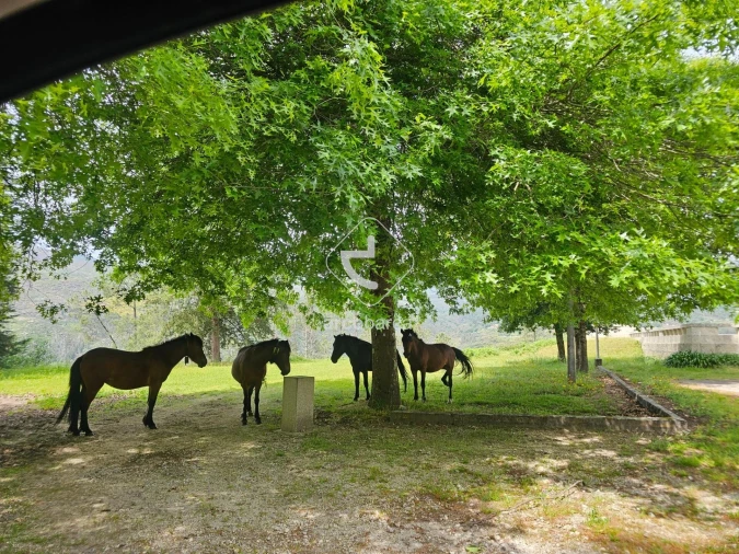 Terreno para Venda em Britelo Foto 30