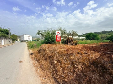 Terreno para Venda em Sé Nova, Santa Cruz, Almedina e São Bartolomeu