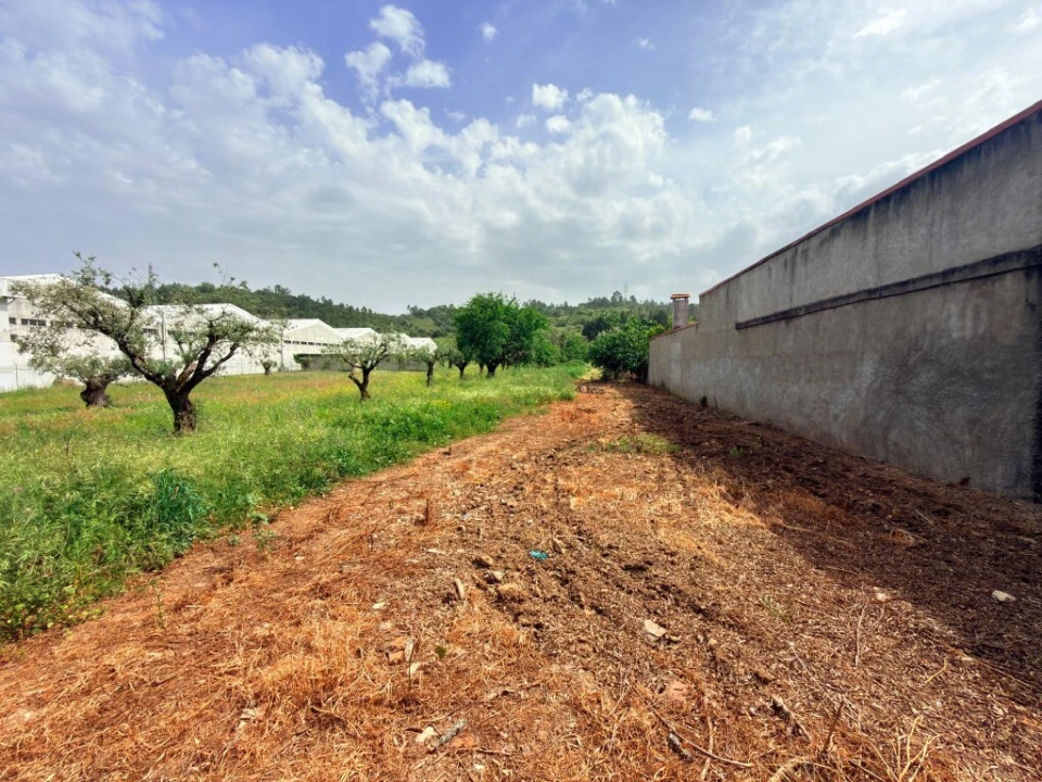 Terreno para Venda em Sé Nova, Santa Cruz, Almedina e São Bartolomeu Foto 4
