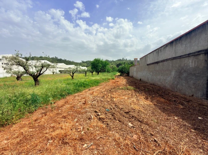 Terreno para Venda em Sé Nova, Santa Cruz, Almedina e São Bartolomeu Foto 4