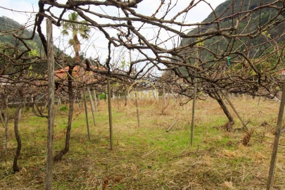 Moradia T4 para Venda em São Vicente
