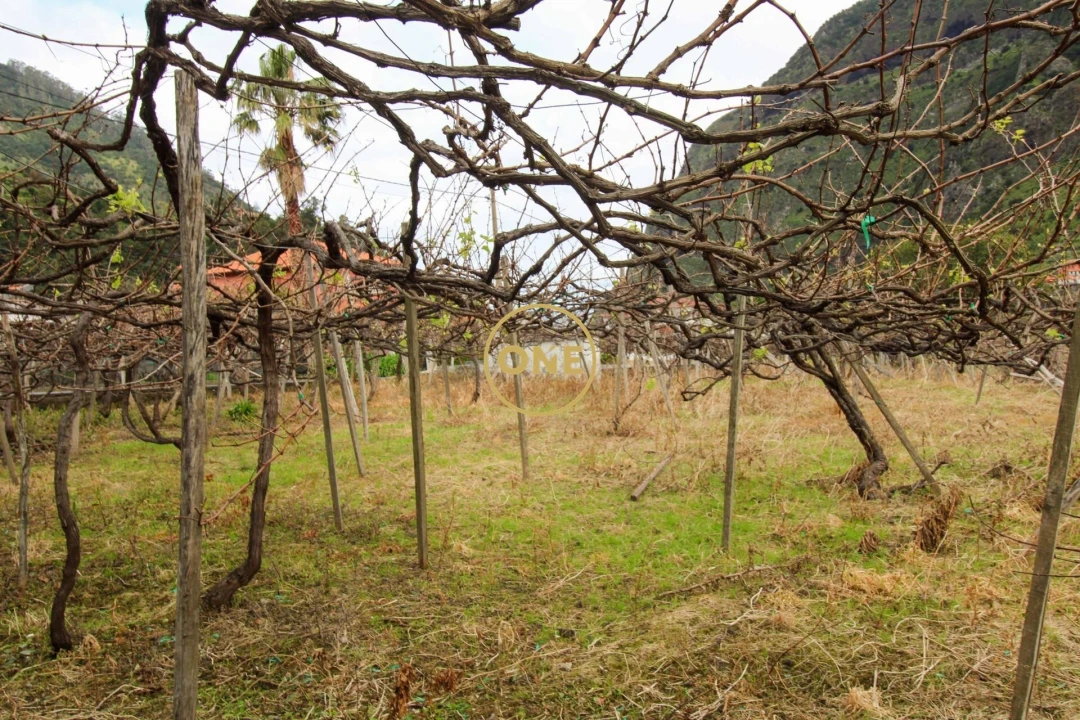 Moradia T4 para Venda em São Vicente Foto 36