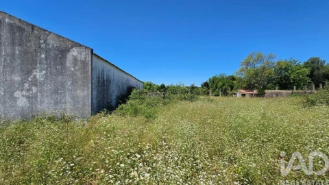 Prédio para Venda em Loule (São Clemente)