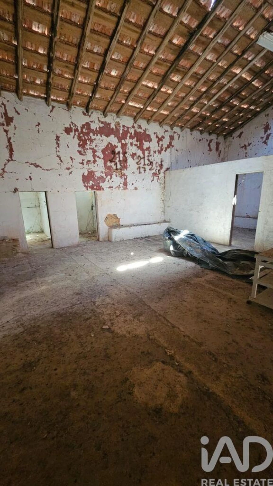 Prédio para Venda em Loule (São Clemente) Foto 10