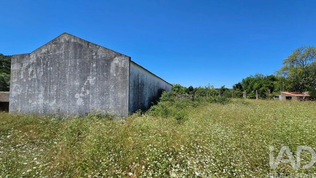 Prédio para Venda em Loule (São Clemente) Foto 3