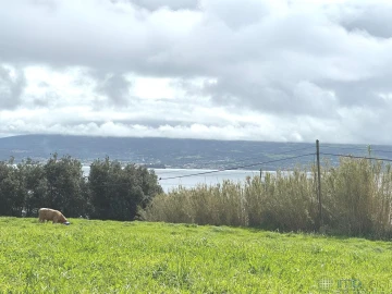 Terreno para Venda em Praia do Almoxarife