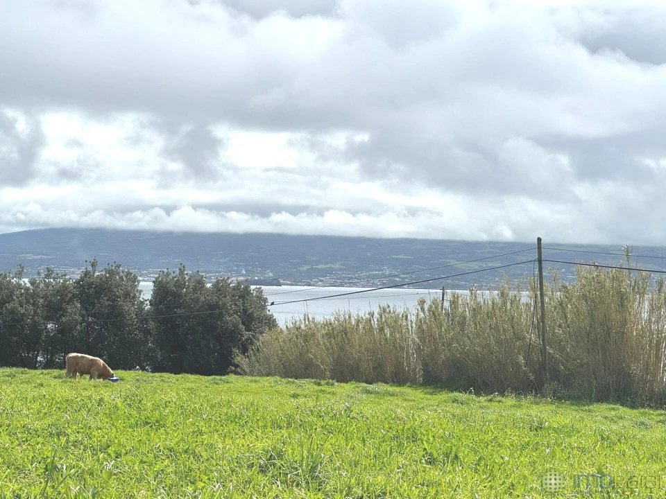 Terreno para Venda em Praia do Almoxarife Foto 9