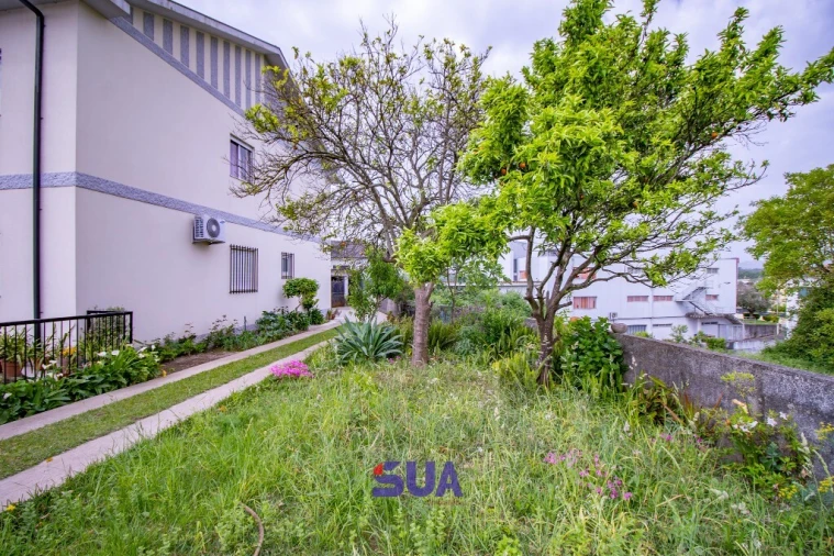 Moradia T3 para Venda em Ferreiros, Prozelo e Besteiros Foto 21