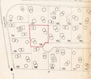 Terreno para Venda em Almancil