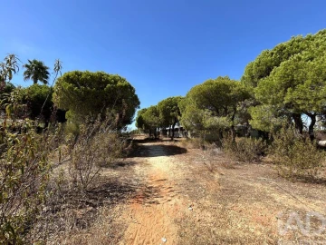 Terreno para Venda em Almancil