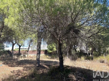 Terreno para Venda em Almancil