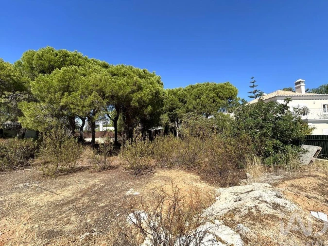 Terreno para Venda em Almancil Foto 4