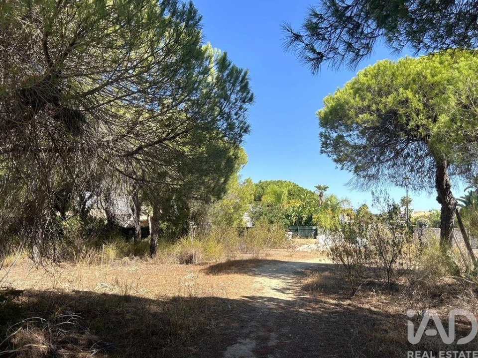 Terreno para Venda em Almancil Foto 1