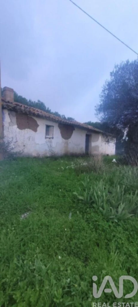 Quinta para Venda em São Teotónio