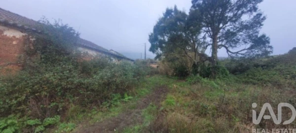 Quinta para Venda em São Teotónio