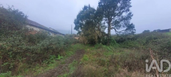 Quinta para Venda em São Teotónio