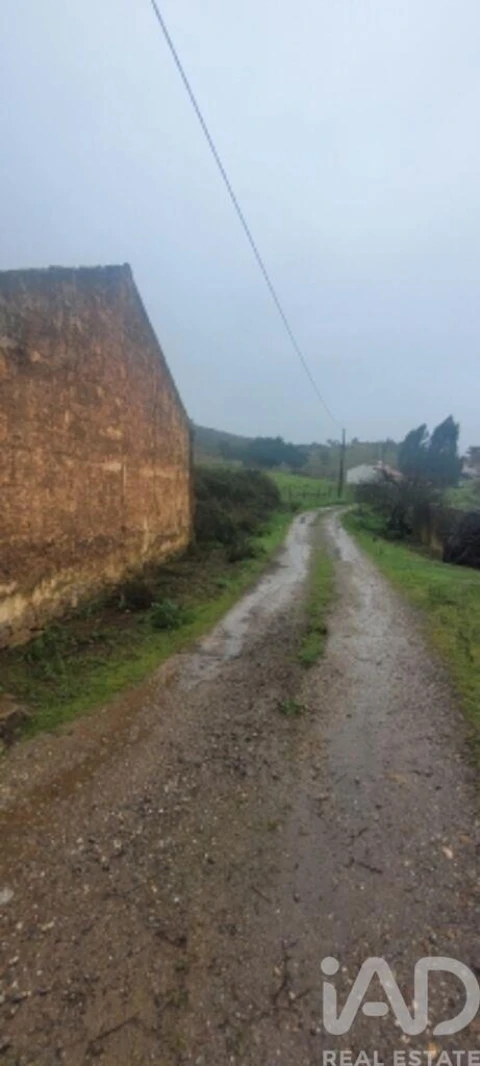 Quinta para Venda em São Teotónio