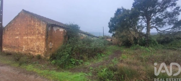 Quinta para Venda em São Teotónio