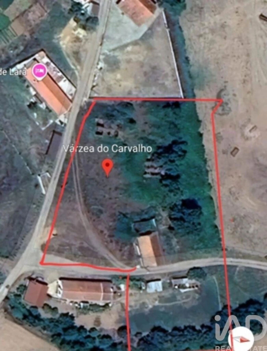 Quinta para Venda em São Teotónio Foto 5