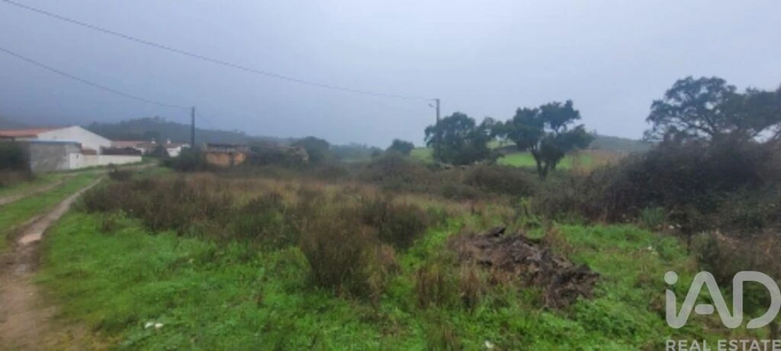 Quinta para Venda em São Teotónio Foto 6