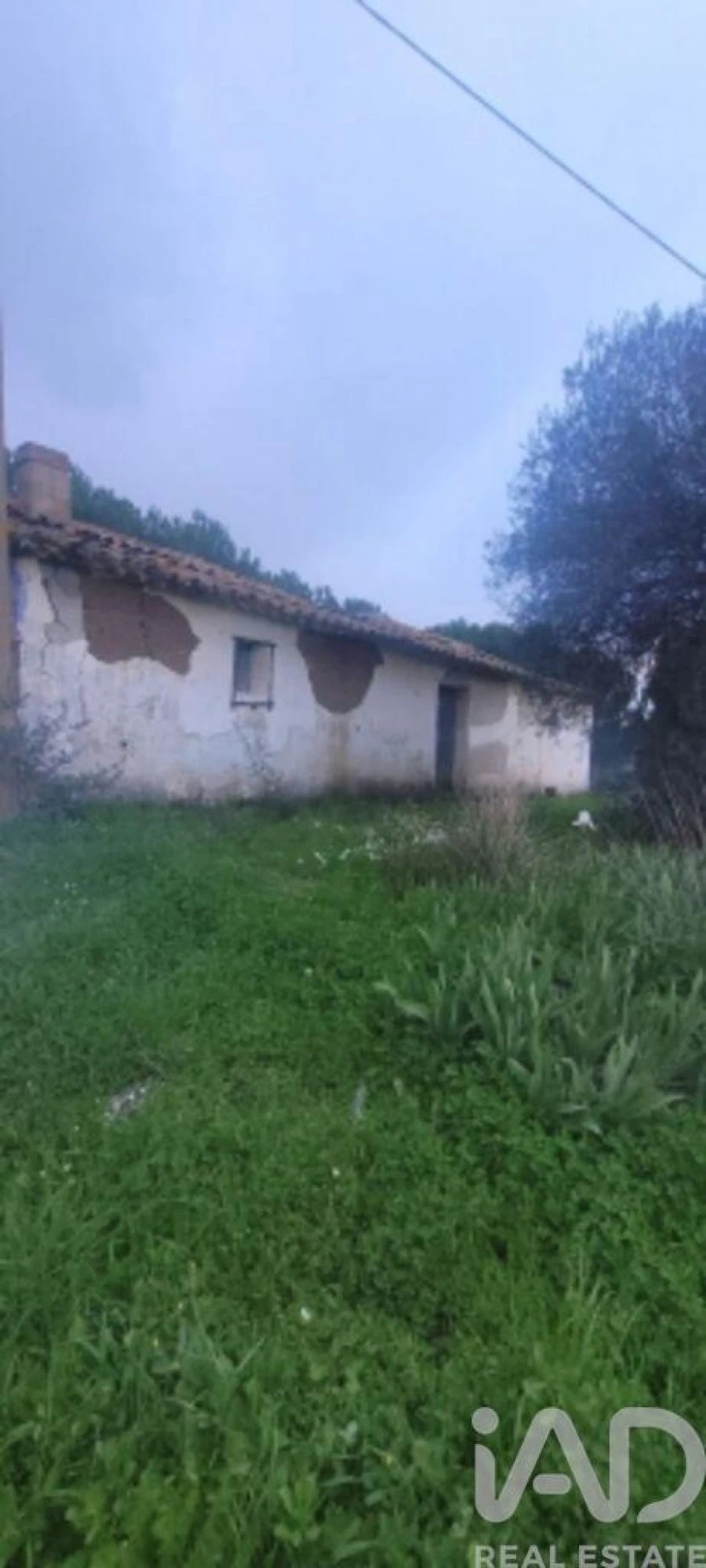 Quinta para Venda em São Teotónio Foto 3