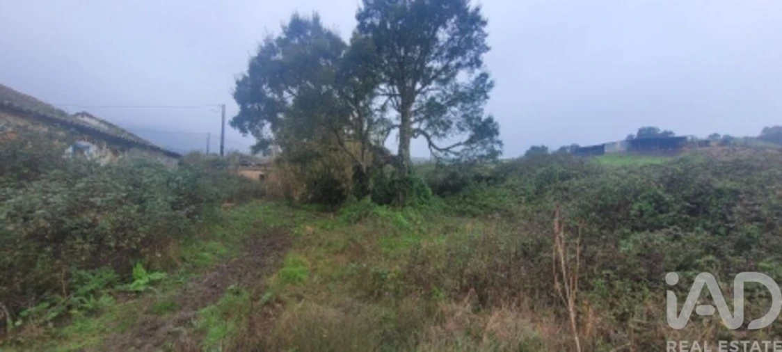 Quinta para Venda em São Teotónio Foto 10