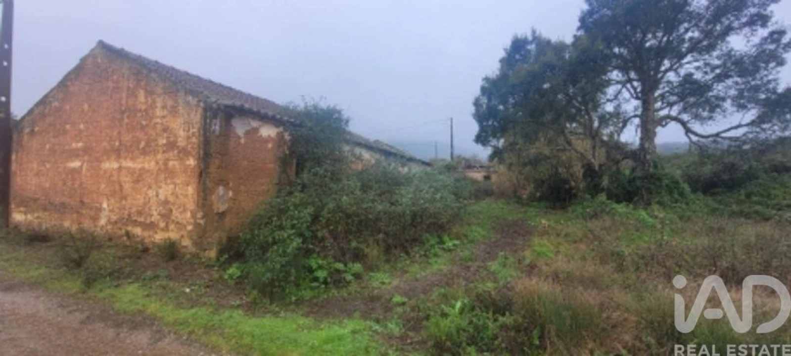 Quinta para Venda em São Teotónio Foto 2