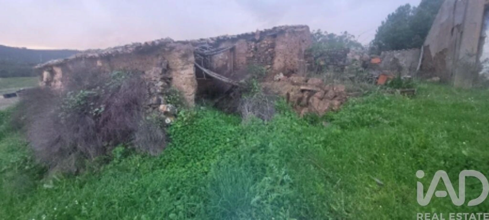 Quinta para Venda em São Teotónio Foto 4