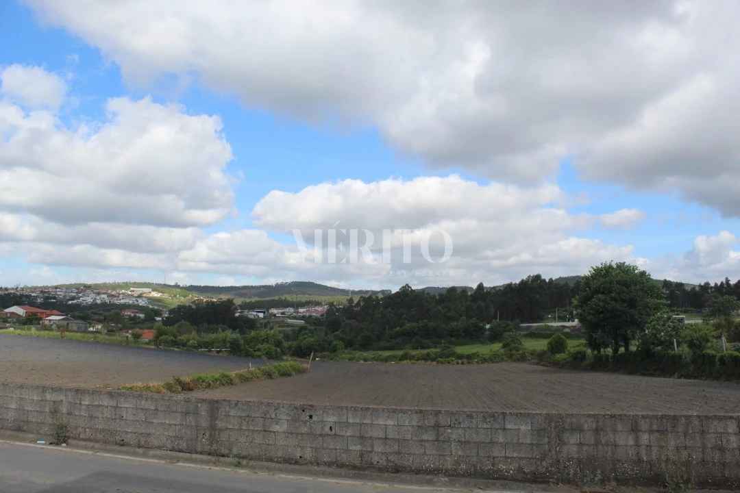 Terreno para Venda em Ribeirão Foto 6