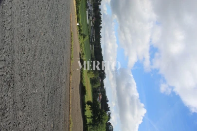 Terreno para Venda em Ribeirão