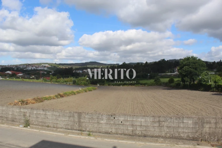Terreno para Venda em Ribeirão Foto 7