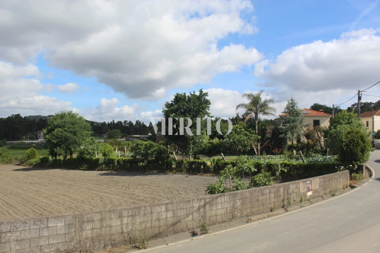Terreno para Venda em Ribeirão Foto 9