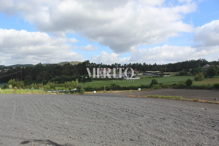 Terreno para Venda em Ribeirão Foto 14