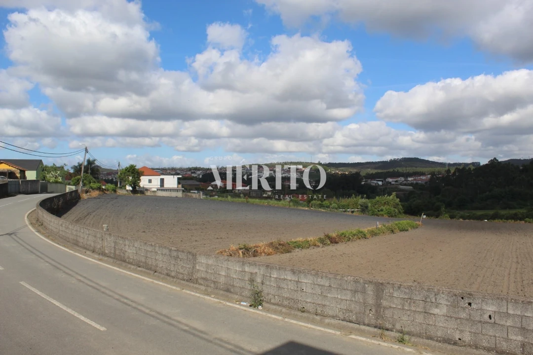 Terreno para Venda em Ribeirão Foto 8