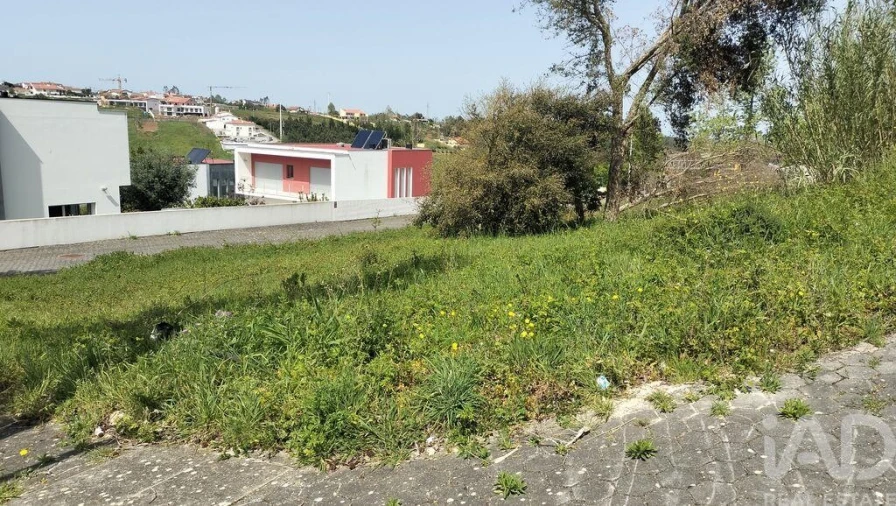 Terreno para Venda em Leiria, Pousos, Barreira e Cortes Foto 11