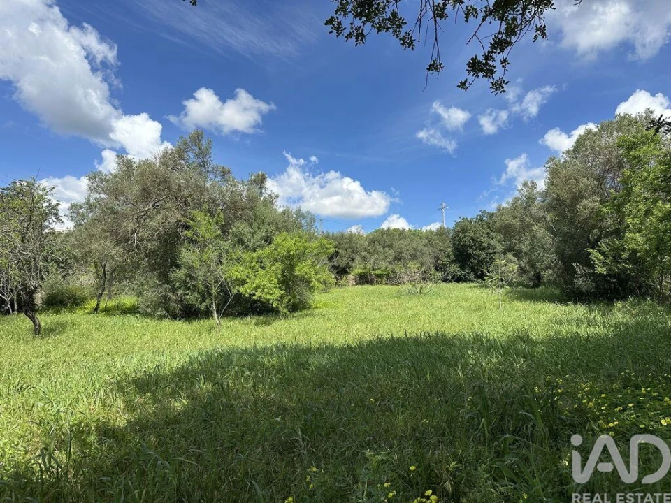 Moradia T4 para Venda em Loule (São Sebastião) Foto 21