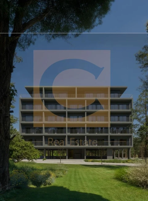 Apartamento T1 para Venda em Paranhos