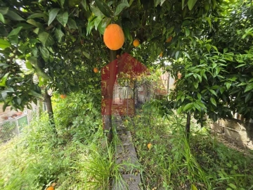 Apartamento T3 para Venda em Vila Verde e Barbudo